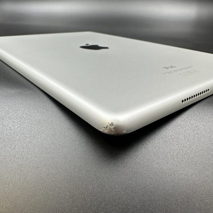 iPad (9th Gen) 256GB Wi-Fi  Silver - Image 3