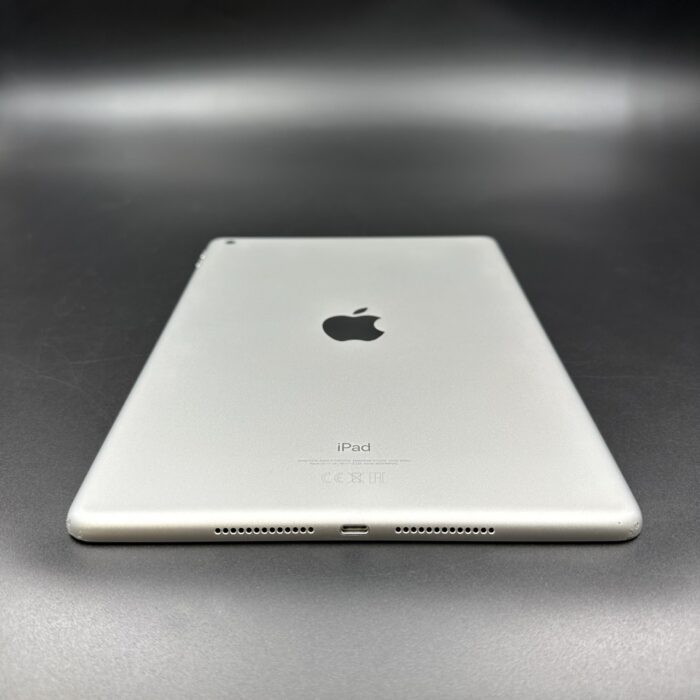 iPad (9th Gen) 256GB Wi-Fi  Silver - Image 4