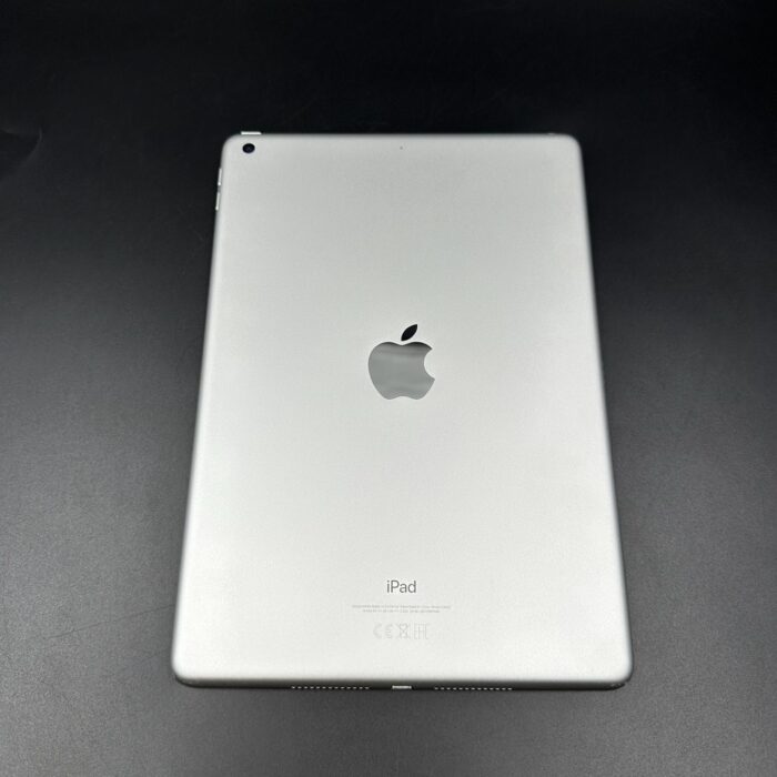 iPad (9th Gen) 256GB Wi-Fi  Silver - Image 9