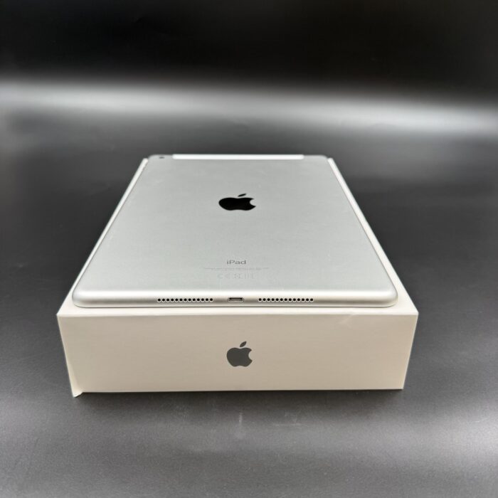 iPad (9th Gen) 256GB Wi-Fi + Cellular  Silver - Image 4